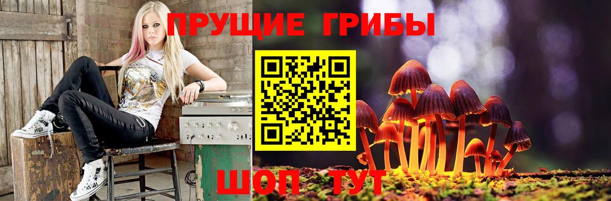 Балаково  Псилоцибиновые грибы мицелий  Вход с VPN  Псилоцибиновые грибы Psilocybine cubensis 